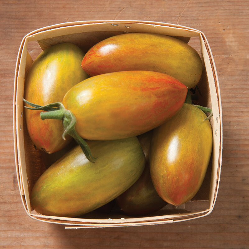 Lucky Tiger – Organic Tomato Seed