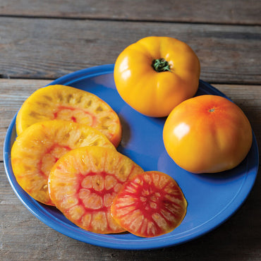 Harvest Moon – Organic Tomato Seed