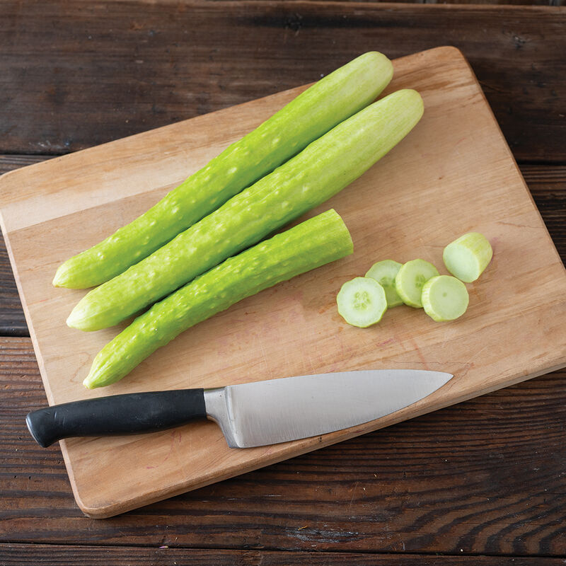 Margarita – Cucumber Seed