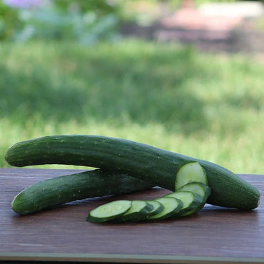 Cucumber Burpless Seeds