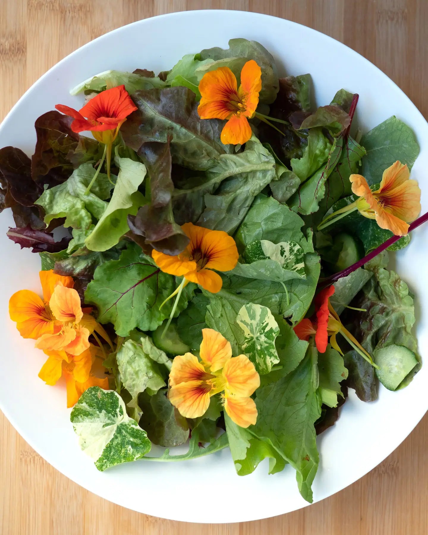 Salad Mix Collection – Vegetable Seed