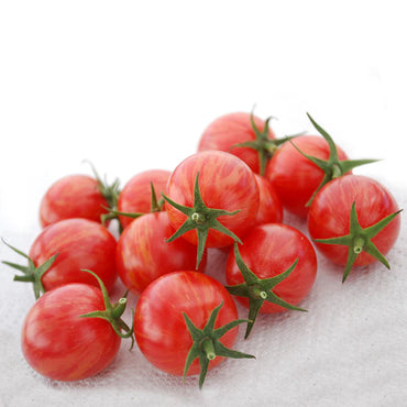Margold/Estamino Organic Tomato Seed