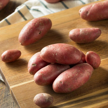 French Fingerling – Organic Seed Potatoes