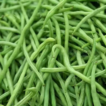 Jade – Organic Bean Seed