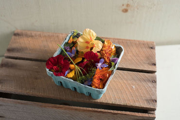 Organic Edible Flower Collection – Organic Flower Seed