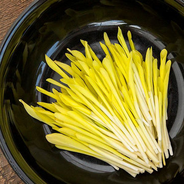 Popcorn – Organic Shoot Seed