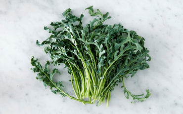 Spigariello Riccia – Broccoli Seed