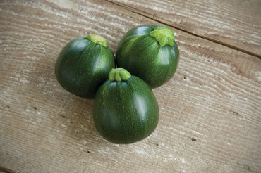 Eight Ball – Squash Seed