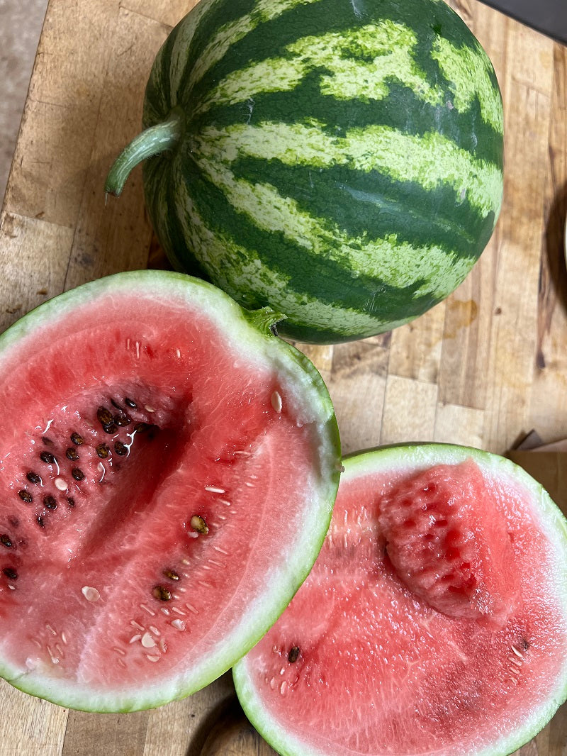 Watermelon- Cekirdegi Oyali