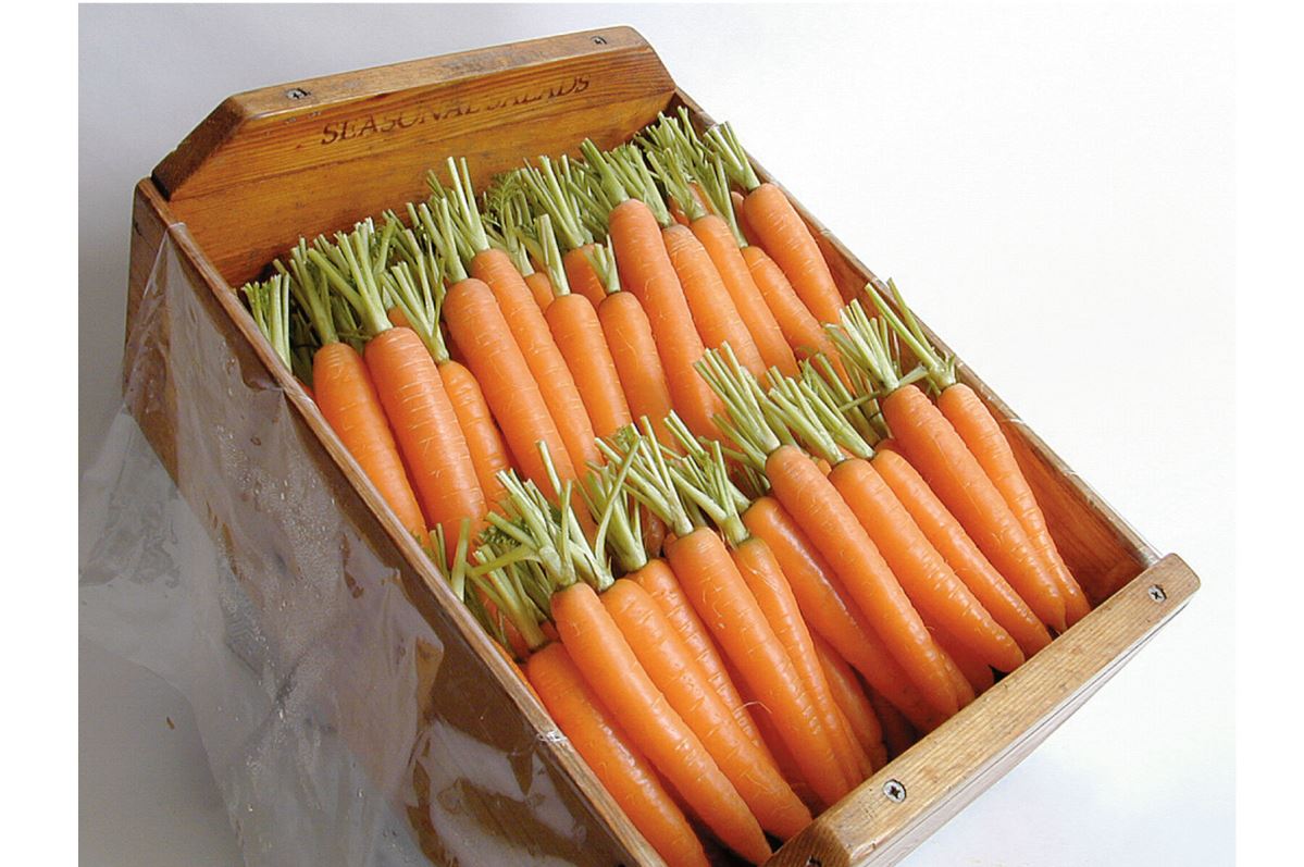 Napoli – Organic Carrot Seed