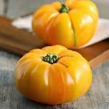 Giant light orange tomato Solanum lycopersicum seeds for planting in home garden
