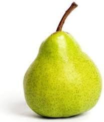Pear Fruit Seeds for Planting - Plant Your Own Pear Trees for Delicious Fruit, Heirloom Seeds
