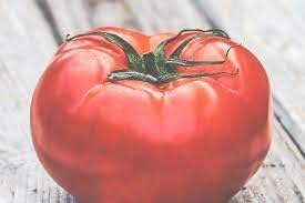 Big Tomato Seeds for Planting, Red, 100 pcs