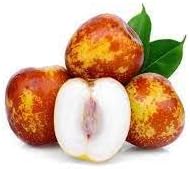 Shanlix Jujube Fruit Seeds for Planting - Sweet, Dried Fruit for Home Garden, Heirloom & GMO Free Seeds