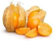 Gooseberries Fruit Seeds for Growing Tart and Flavorful Berries 100 pcs