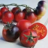 Red Black Tomato Seeds for Planting - heirloom & Non GMO Seeds