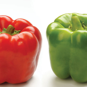 Procraft – Bell Pepper Seed