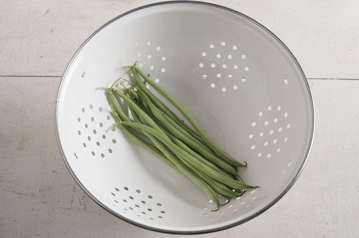 Maxibel – Bean Seed