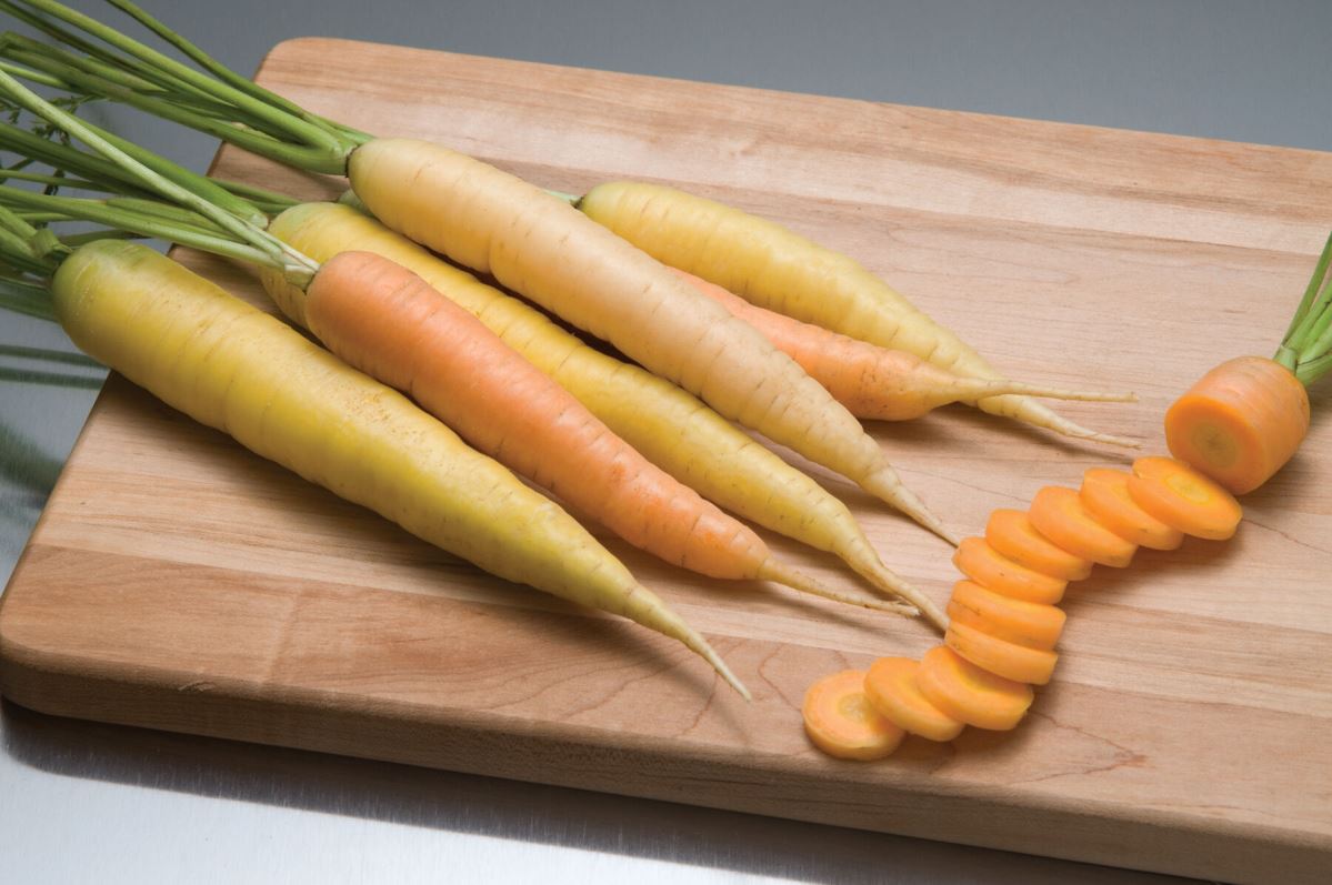 Rainbow – Carrot Seed
