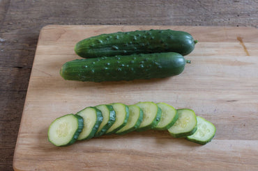 General Lee – Cucumber Seed