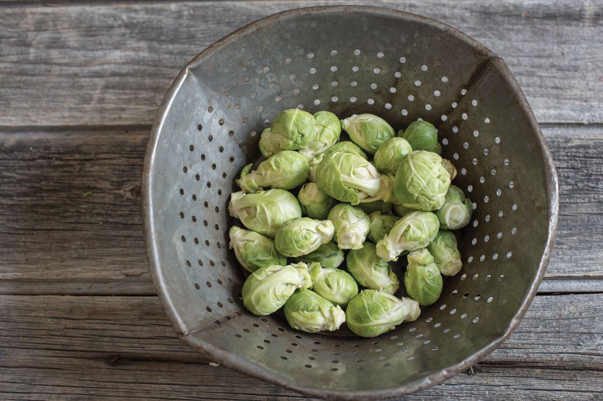 Diablo – Brussels Sprout Seed