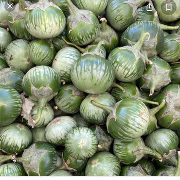 Kermit – Eggplant Seed