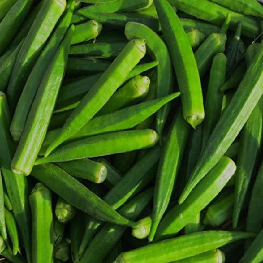 Okra Varsha Vegetable Seeds