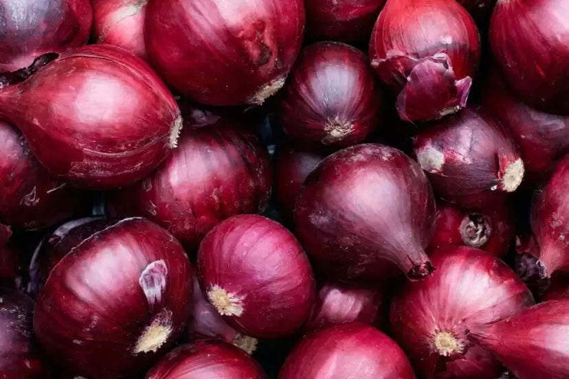 Cabernet – Organic Onion Seed