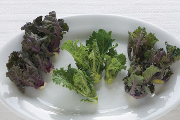 Kaleidoscope Mix – Flower Sprout? Seed