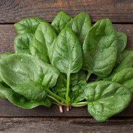 Space – Spinach Seed