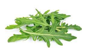 Sylvetta – Organic Arugula Seed