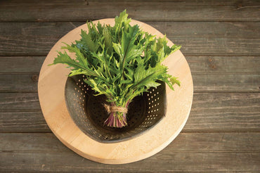 Central Red – Green Seed