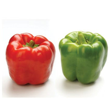 Intruder – Bell Pepper Seed