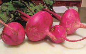 Scarlet Queen Red Stems – Turnip Seed