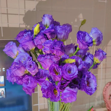 Purple Eustoma Thornless Rose Lisianthus Seeds