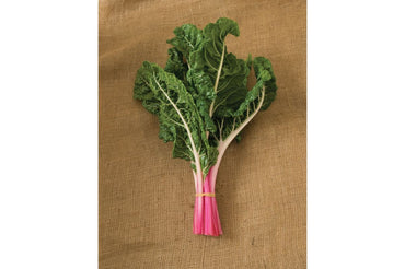 Peppermint – Swiss Chard Seed