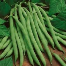 Beans Vegetable Seeds for Planting - 100 pcs