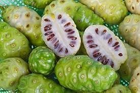 Fresh NONI Fruit Seeds for Gardening - Organic and Easy to Grow 100 pcs