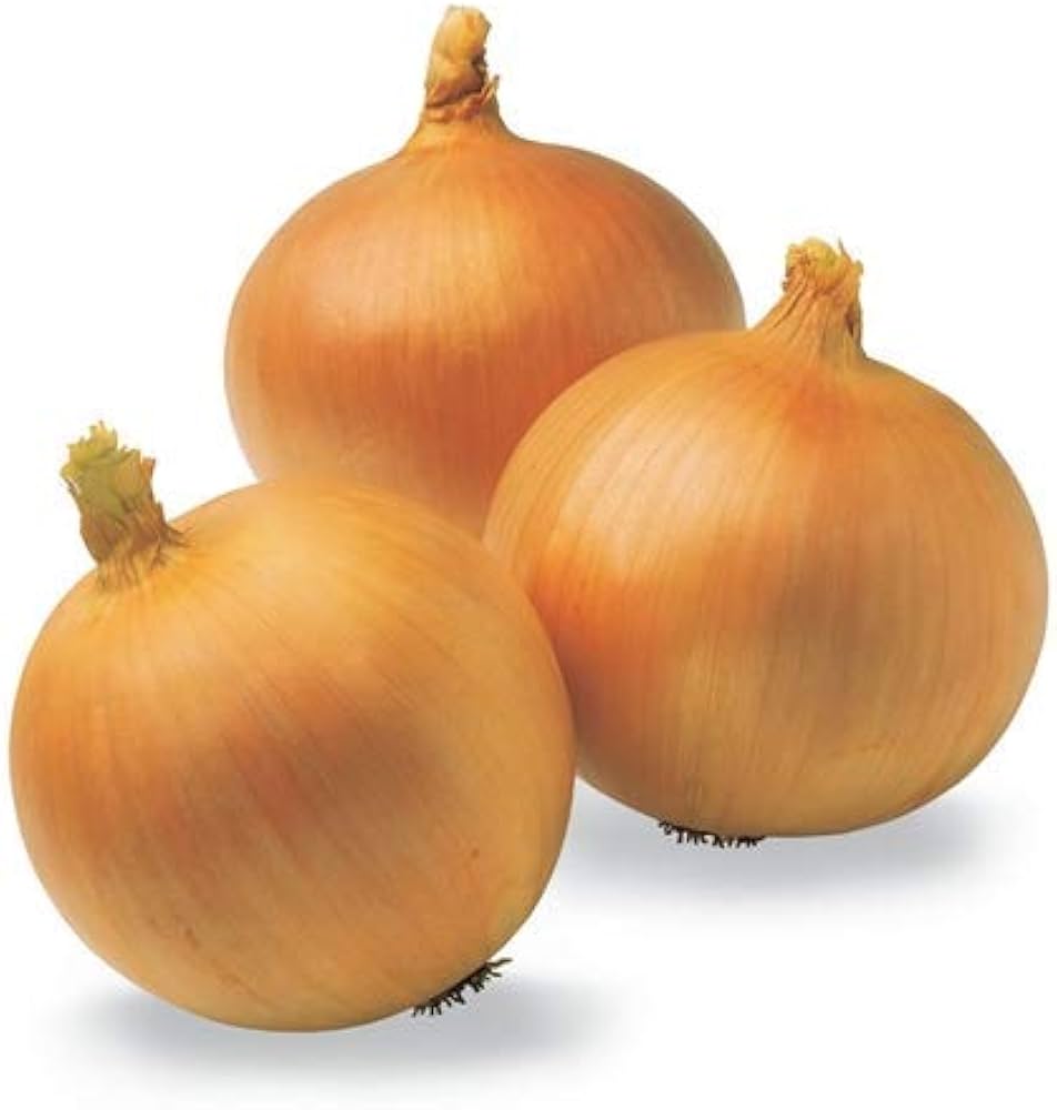 Giant Onion Green Sweet Spanish Vegetable Seeds for Garden