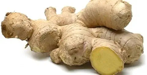 Organic Ginger Seeds – Potted Herb