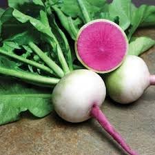 Radish Starburst Fruit Seed Pack for Vibrant, Tasty Radishes 100 pcs