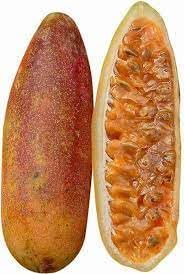 Curuba Fruit Seed Set for Unique, Tangy Fruit Production 100 pcs