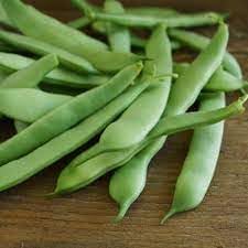Bean Seeds for Gardening, 100 pcs