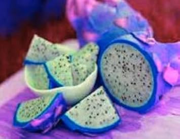 Pitaya Fruit Seeds Easy to Grow Blue 100 pcs