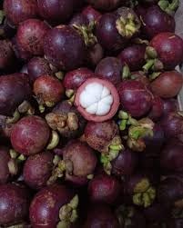 Mangosteen Fruit Seeds for Growing Sweet and Exquisite Mangosteens 100 pcs