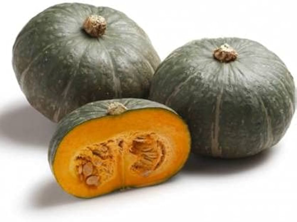 Silver Moon Pumpkin seeds – ghostly white variety for fall displays