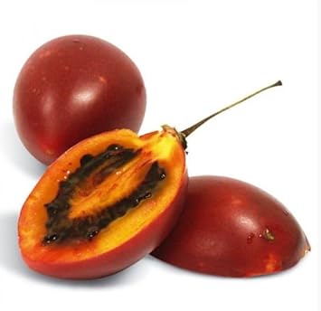 Tamarillo Vegetable Seeds for Planting, heirloom & Non-GMO Seeds