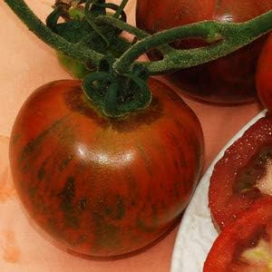 Orange and Brown Tomato Seeds for Planting - Heirloom and Non-GMO Garden Seeds