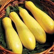 Straightneck Summer Squash Vegetable Seeds for Planting - heirloom & Non-GMO Garden Seeds