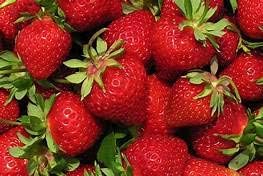 Japanese Hokowase Strawberry Fruit Seeds - Premium Quality, Non-GMO 100 pcs